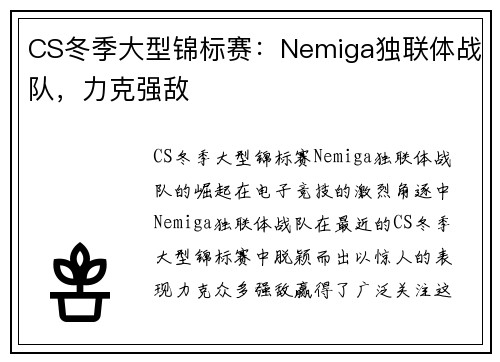 CS冬季大型锦标赛：Nemiga独联体战队，力克强敌